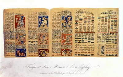 Copia di un frammento del Codice di Dresda con calcoli astronomici Maya da Mexican School