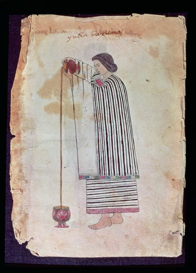 Indiano messicano che prepara cioccolata, dal Codice Tudela, 1553 da Mexican School