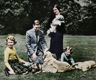 Famiglia reale come un gruppo felice di amanti dei cani da Michael Chance