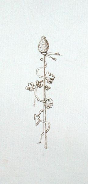 Disegno dal taccuino di Michael Faraday da Michael Faraday