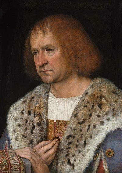 Ritratto di Diego de Guevara, c. 1515-1518 da Michael Sittow