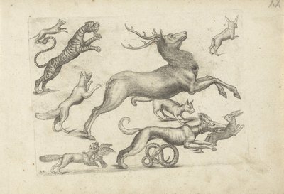 Foglio di studio con esempi di disegno: vari animali da Michael Snijders (attributed to)