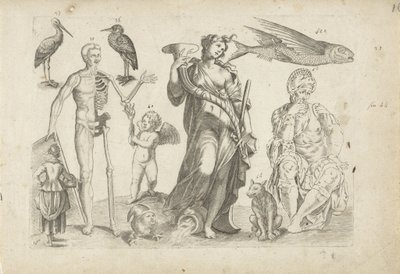 Foglio di esercitazione con esempi di disegno: animali e figure varie da Michael Snijders