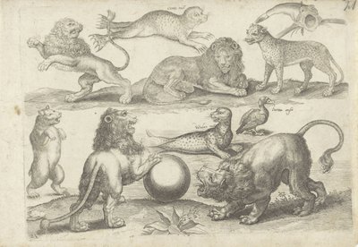 Foglio di studio con esempi di disegno: vari animali da Michael Snijders