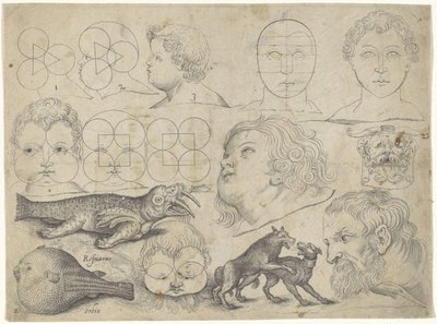 Foglio di studio con esempi di disegno: figure, animali da Michael Snijders