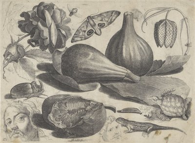 Foglio di studio con esempi di disegno: teste, animali e frutti (Tekenvoorbeelden) da Michael Snijders