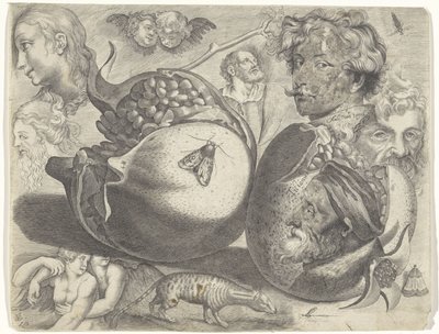 Foglio di studio con esempi di disegno: teste, figure, frutti, animali da Michael Snijders