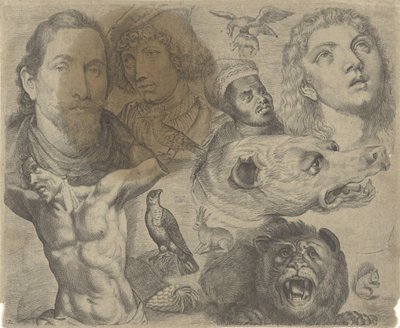 Foglio di studio con esempi di disegno: teste, torso e animali da Michael Snijders