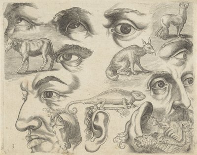 Esempi di disegno da Michael Snijders