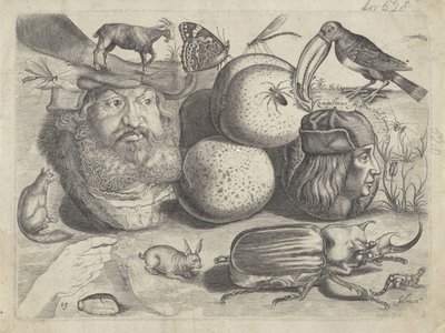 Foglio di studio con esempi di disegno: ritratti, animali, insetti (Tekenvoorbeelden) da Michael Snijders