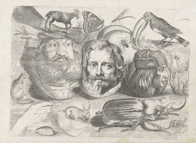 Foglio di esercitazione con esempi di disegni: ritratti, animali, insetti da Michael Snijders