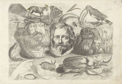 Foglio di esercitazione con esempi di disegni: ritratti, animali, insetti da Michael Snijders