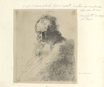 Busto di un vecchio con barba da Michael Willmann (attributed to)