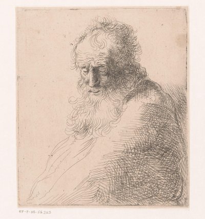 Busto di un vecchio con barba da Michael Willmann (attributed to)