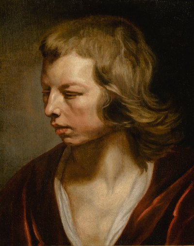 Studio di un ragazzo da Michaelina Wautier