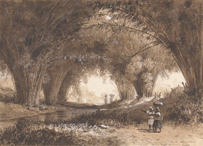 Archi di bambù, St. Anns da Michel Jean Cazabon