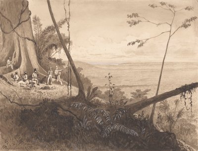 Cedar Point, Monte Tamana da Michel Jean Cazabon