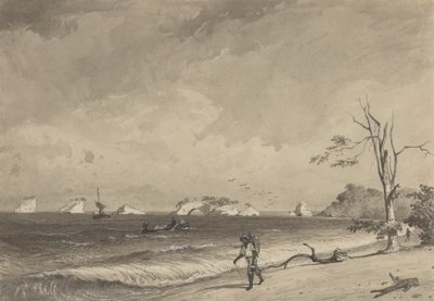 Los Gallos, Baia di Icacos da Michel Jean Cazabon