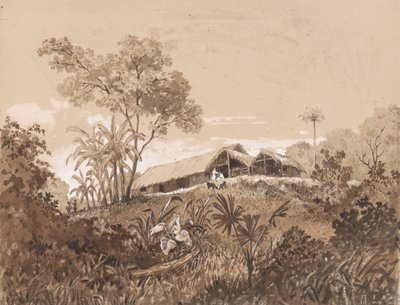 Il cottage, Monte Tamana da Michel Jean Cazabon