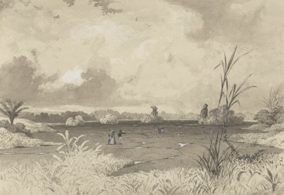 Il Lago di Pece da Michel Jean Cazabon