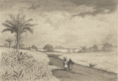 La strada per il Lago di Pece da Michel Jean Cazabon