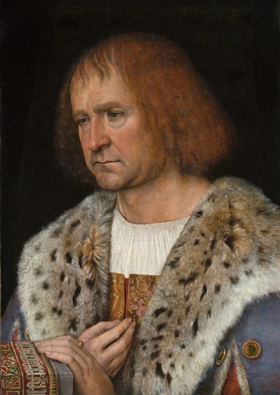 Ritratto di Diego de Guevara (?) da Michel Sittow