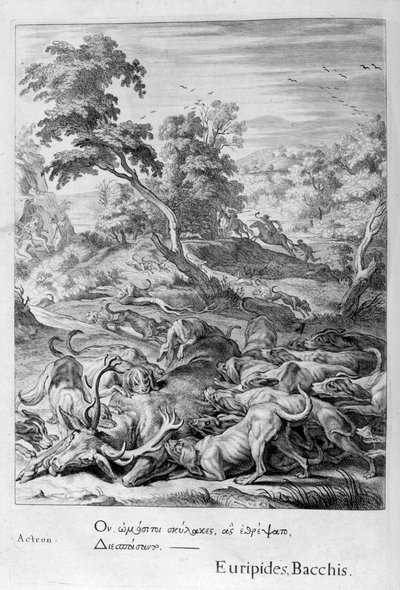 Atteone trasformato in cervo e divorato dai suoi cani, 1655 da Michel de Marolles
