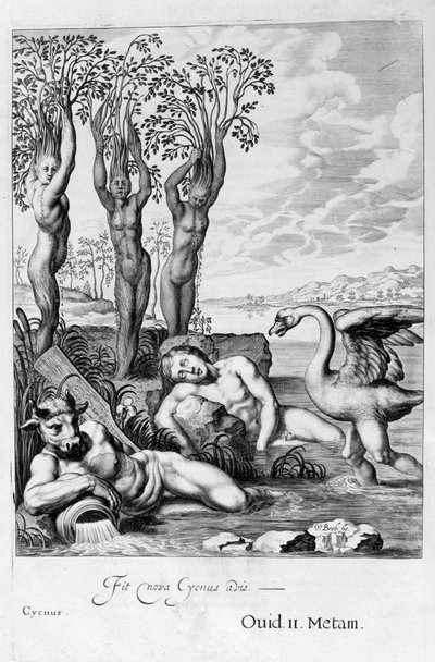 Cigno trasformato in cigno e le sorelle di Fetonte in pioppi, 1655 da Michel de Marolles