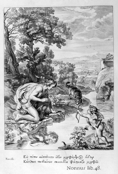 Narciso innamorato del proprio riflesso, 1655 da Michel de Marolles