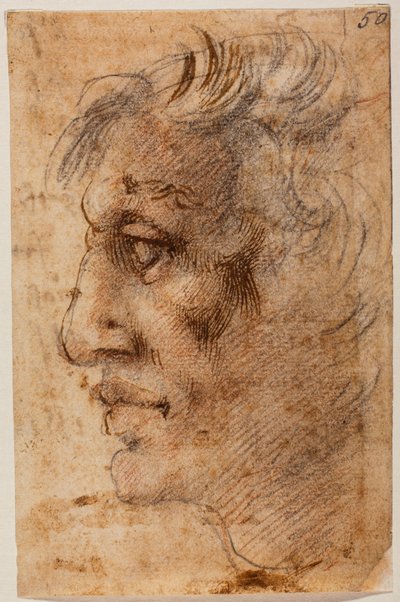 Testa maschile di profilo da Michelangelo (after) Buonarroti