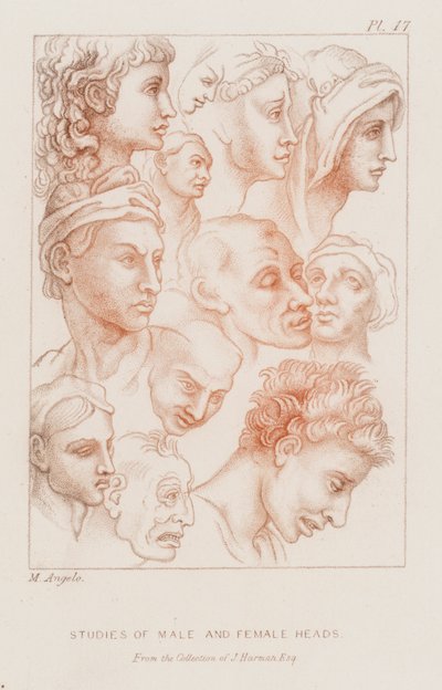Studi di teste maschili e femminili (incisione) da Michelangelo (after) Buonarroti