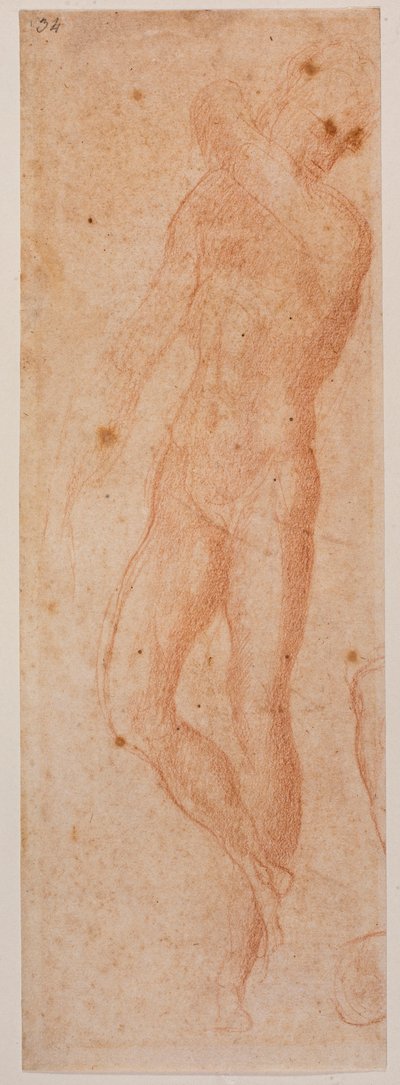 Studi di nudo maschile da Michelangelo (after) Buonarroti