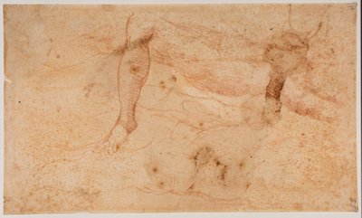 Studi di nudi da Michelangelo (after) Buonarroti