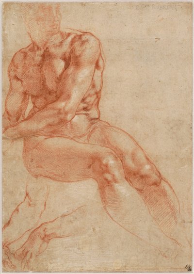 Nudo maschile giovane seduto e due studi di braccia (recto), 1510-11 ca. da Michelangelo