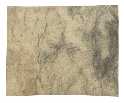 Nudo maschile visto da dietro da Michelangelo Buonarroti