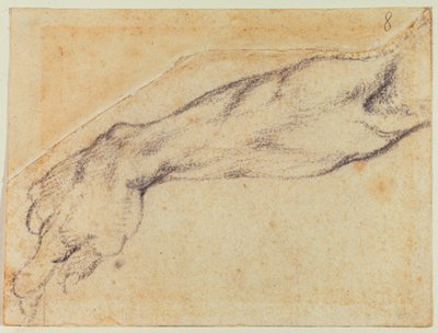 Studio di braccio per una figura della Sistina da Michelangelo Buonarroti