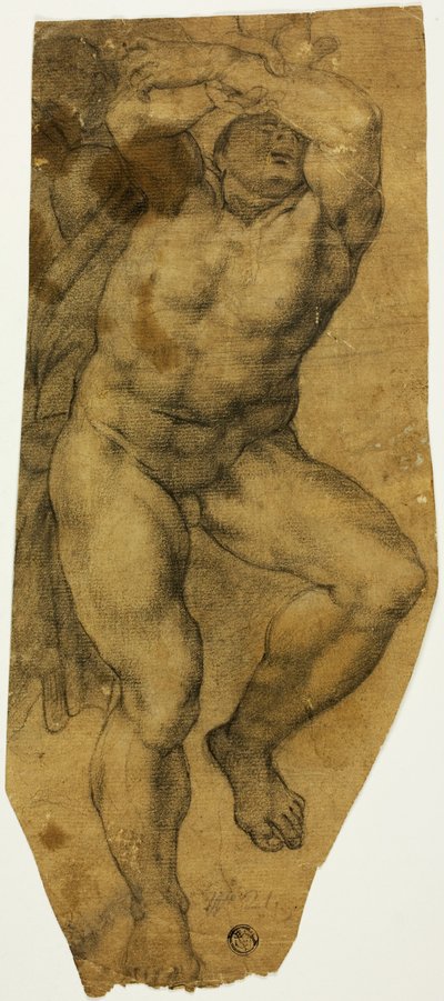 Nudo Maschile Ascendente da Michelangelo Buonarroti