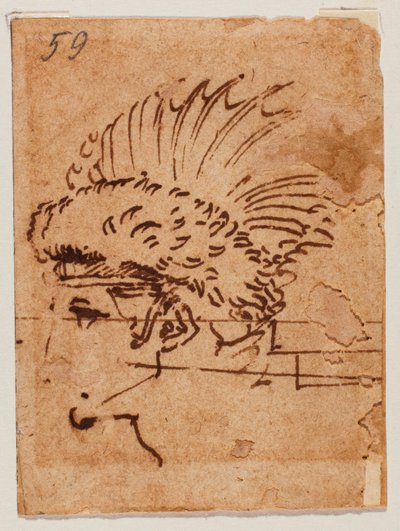 Testa crestata da Michelangelo Buonarroti