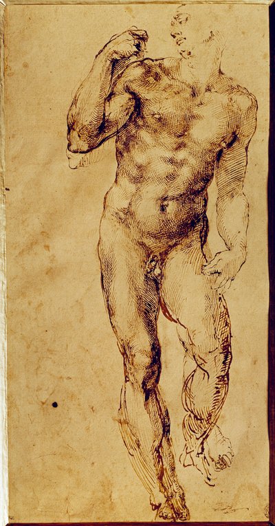 Studio di uomo nudo in piedi da Michelangelo Buonarroti