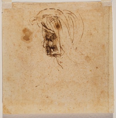Testa femminile da Michelangelo Buonarroti