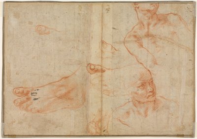 Studi di Figure per il Soffitto della Cappella Sistina (verso) da Michelangelo Buonarroti