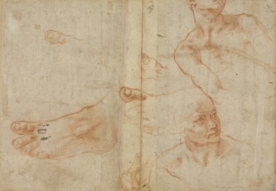Studi di figure per il soffitto della Sistina da Michelangelo Buonarroti