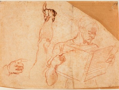 Studio di figura per la 