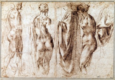 Gruppo di quattro figure in piedi e un drappo Disegno a penna di Michelangelo Buonarroti detto Michelangelo da Michelangelo Buonarroti