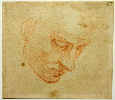 Studio della testa per il soffitto della Cappella Sistina, ca 1509-1510 da Michelangelo Buonarroti