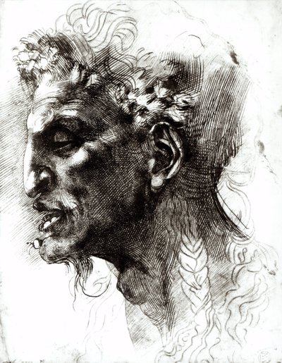 Testa di satiro da Michelangelo Buonarroti
