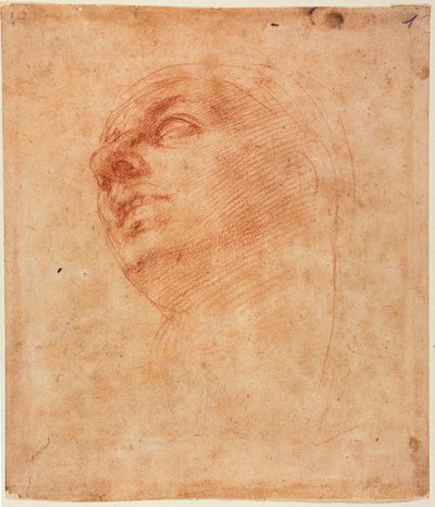 Studio della testa per il Giona della Sistina da Michelangelo Buonarroti