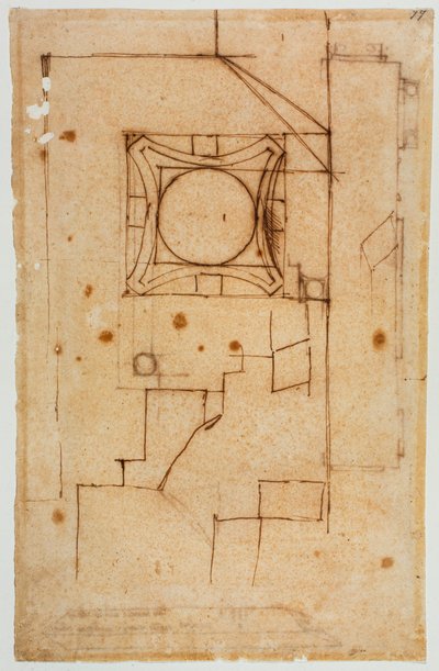 Sezione orizzontale del capitello da Michelangelo Buonarroti