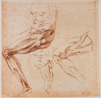 Studi di gambe da Michelangelo Buonarroti