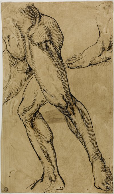 Gambe e Piedi di Nudo Maschile da Michelangelo Buonarroti